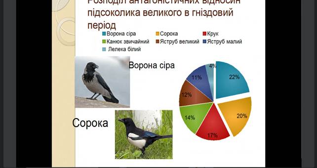 ІІ етап Всеукраїнського конкурсу-захисту науково-дослідницьких робіт