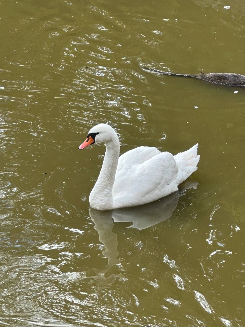 Екскурсія в КНПП