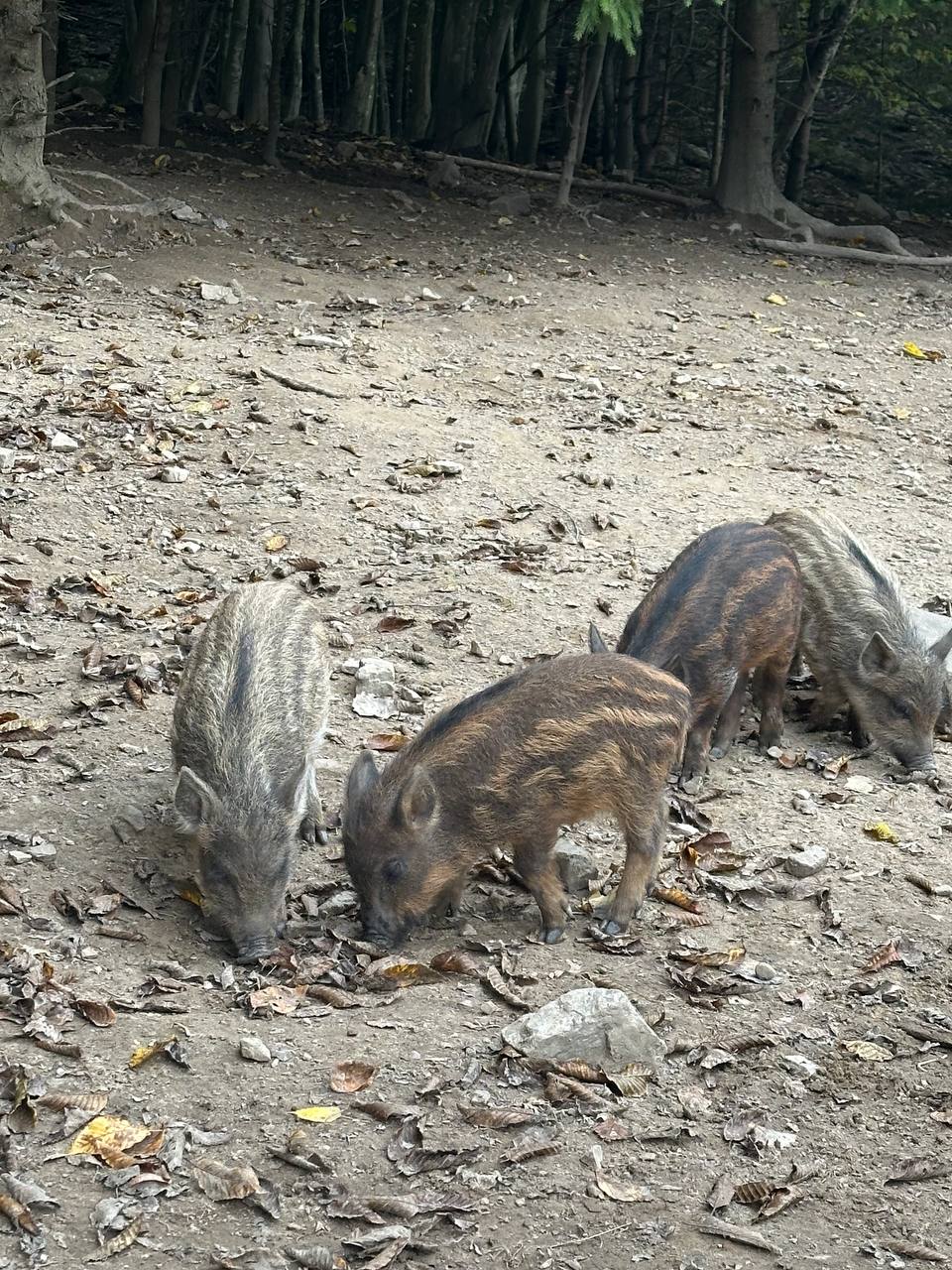 Екскурсія в КНПП