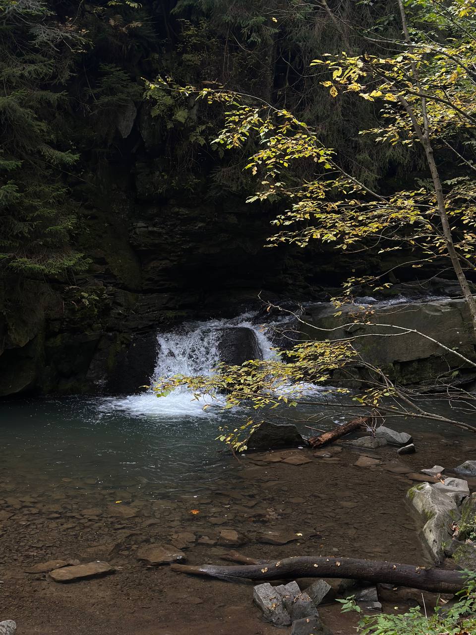 Екскурсія в КНПП