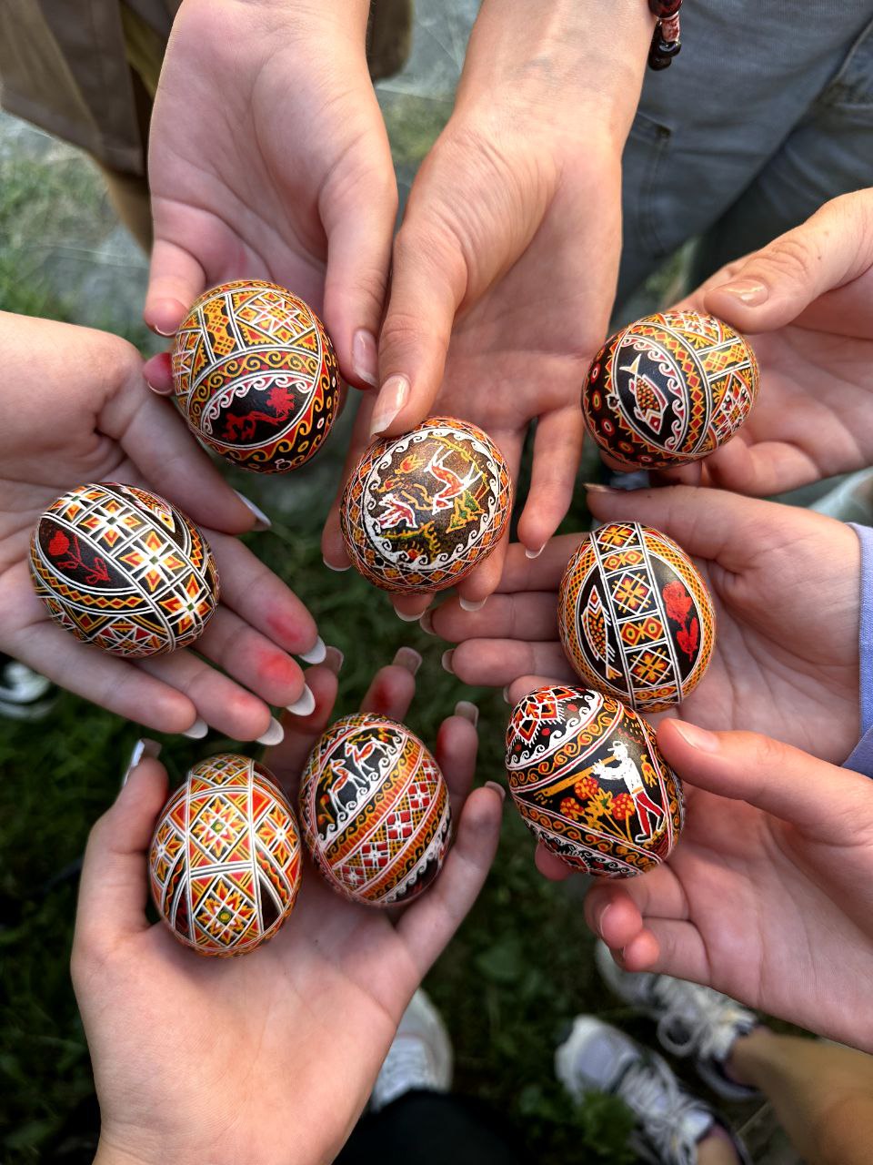 Root4Dig Літній студентський табір