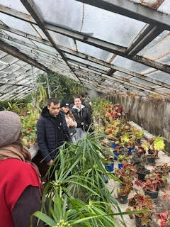 Студенти відвідали дендрарій