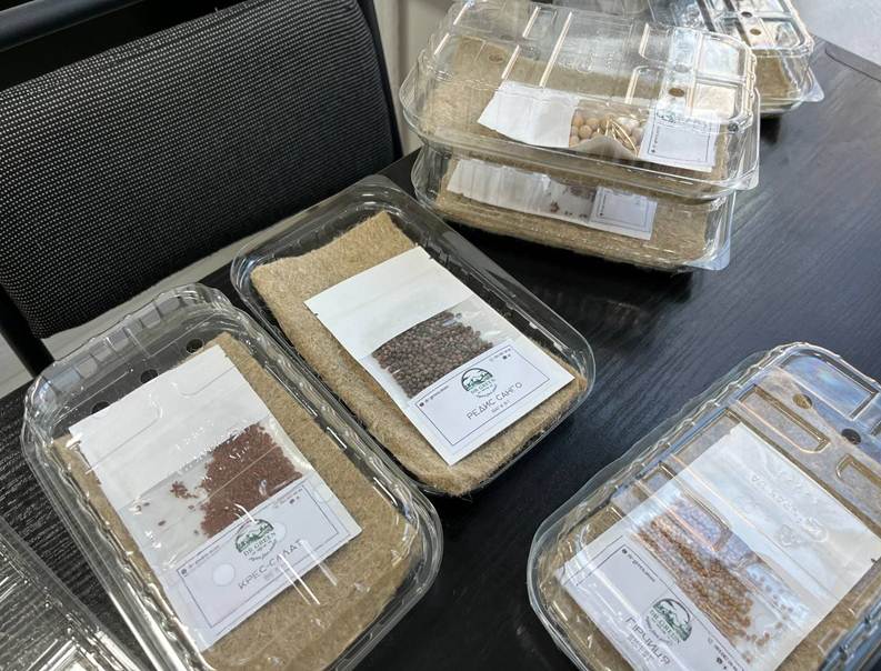 ВОРКШРП ІЗ ВИСАДКИ МІКРОЗЕЛЕНІ