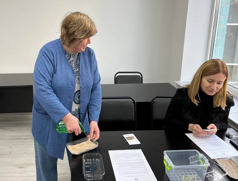 ВОРКШРП ІЗ ВИСАДКИ МІКРОЗЕЛЕНІ