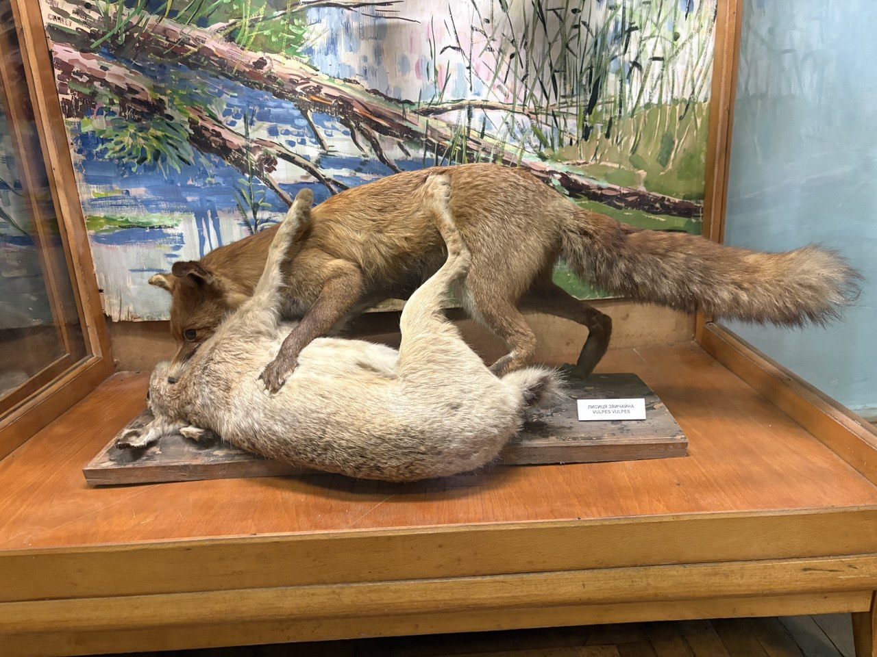 лекційне заняття з дисципліни "Біологія, біоіндикація та біотестування" 