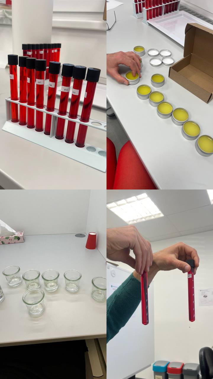 Студентка кафедри філології та перекладу взяла участь у міжнародній програмі в Німеччині