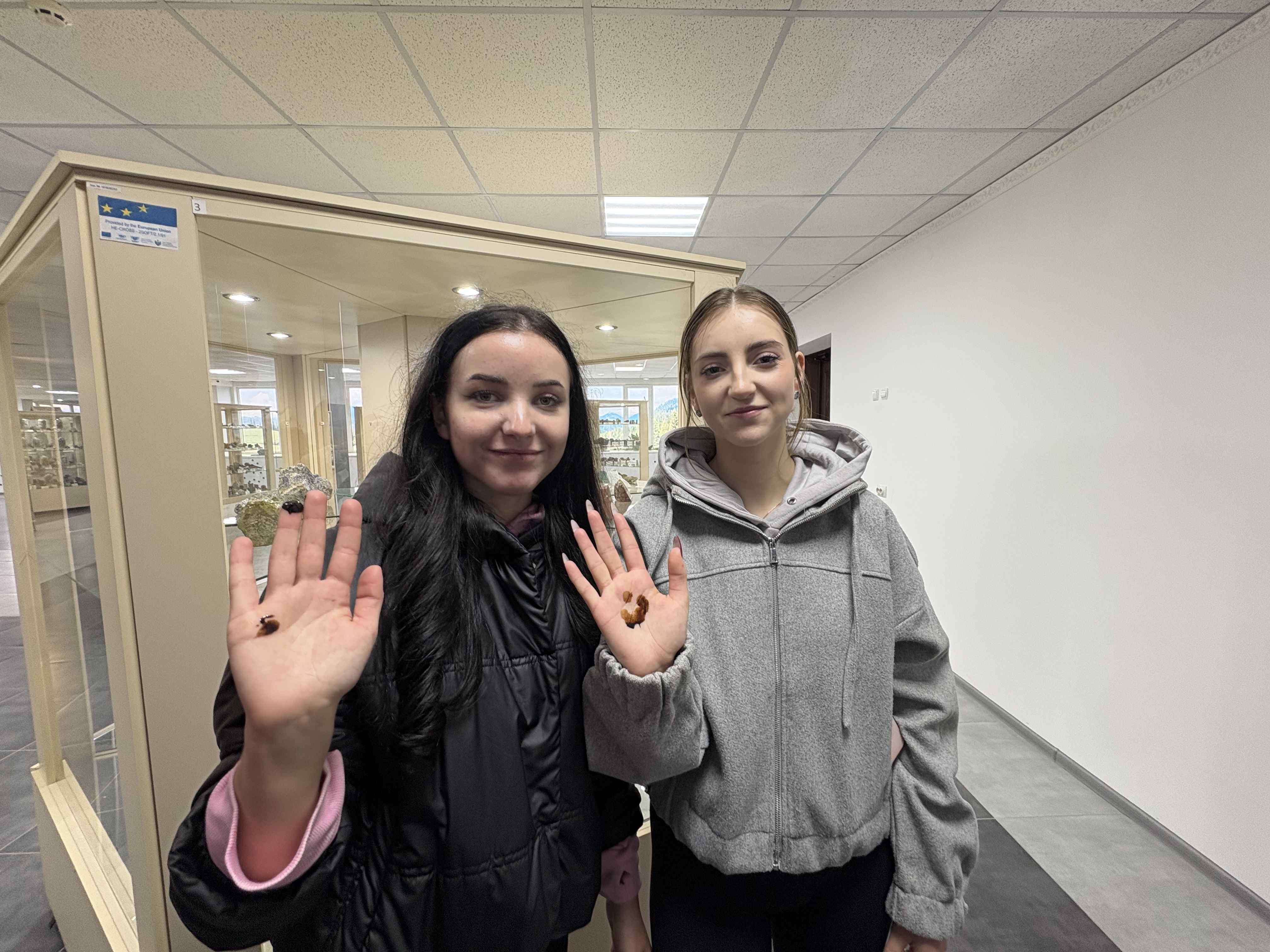 Не тільки код, а й таємниці Землі!