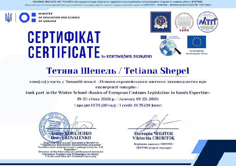 Зимова школа як ефективний інструмент професійного розвитку