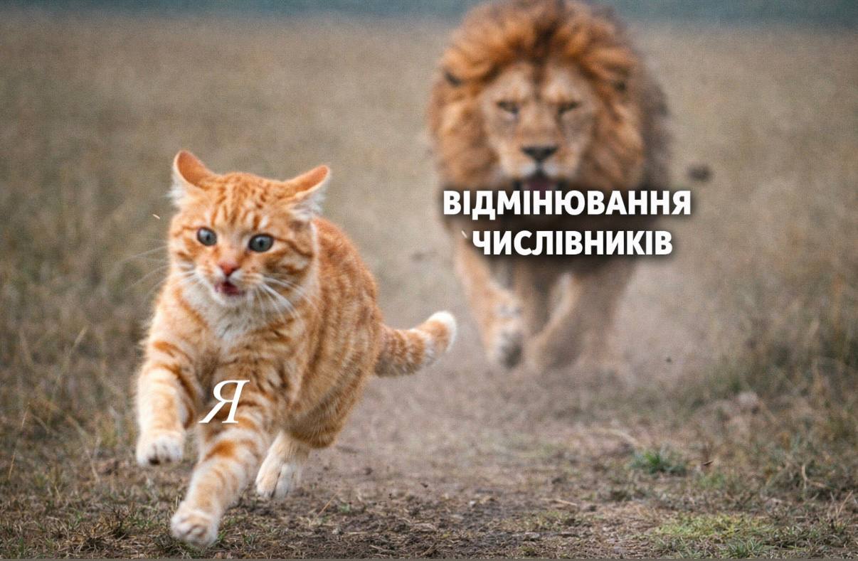 Українська в тренді!