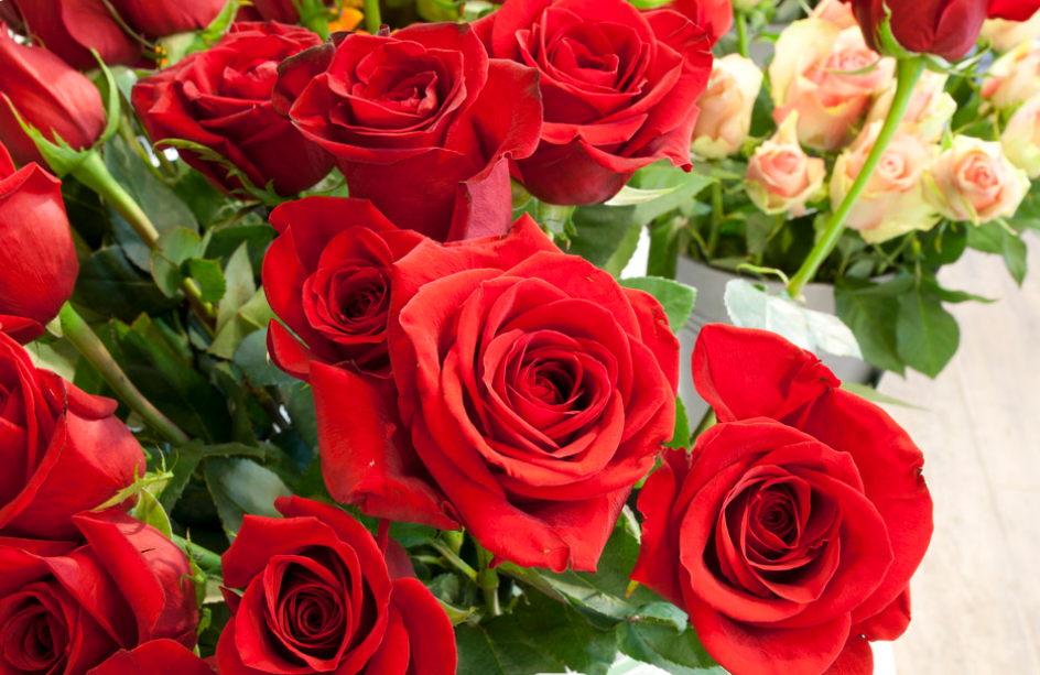 Вітаємо з успішним захистом докторської дисертації!