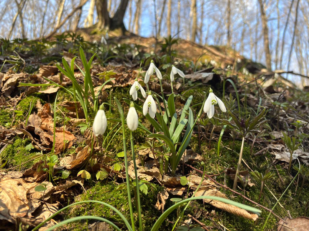 поїздки студентів у НПП Кременецькі гори