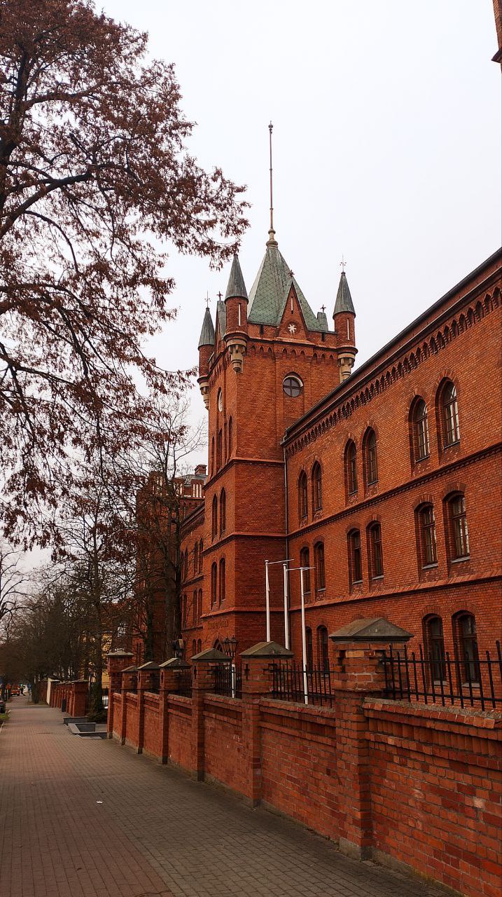 Студентки кафедри філології та перекладу взяли участь у програмі семестрового нав