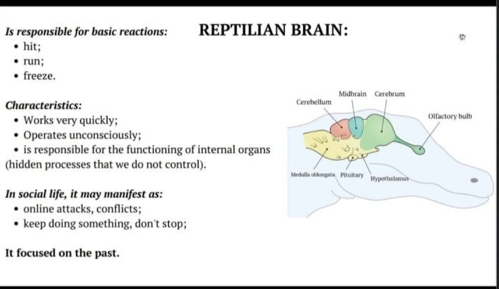 Міжнародне академічне співробітництво в дії: поєднання теорії, практики та професійних навичок