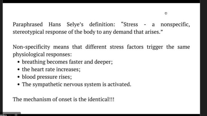 Міжнародне академічне співробітництво в дії: поєднання теорії, практики та професійних навичок