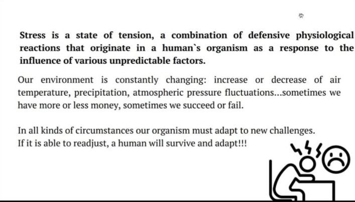 Міжнародне академічне співробітництво в дії: поєднання теорії, практики та професійних навичок