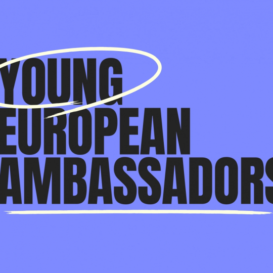 На шляху до Євроінтеграції: онлайн зустріч з Young European Ambassadors
