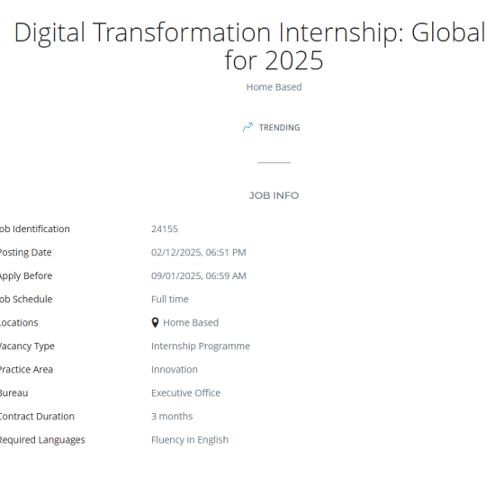 United Nations Development Programme (UNDP) Digital Transformation Internship 2025