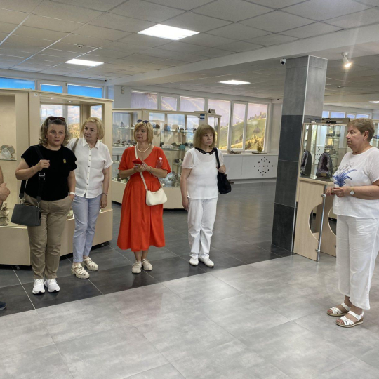 Представники румунської делегації Марамуреського повіту відвідали ІФНТУНГ