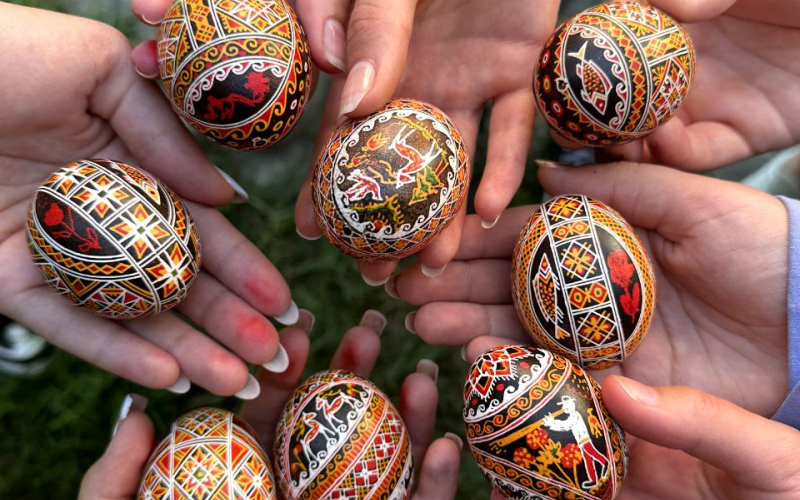 Root4Dig Літній студентський табір