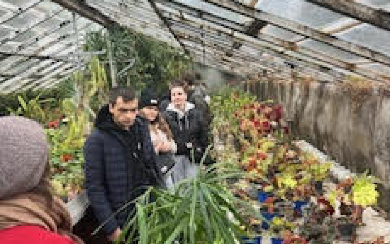 Студенти відвідали дендрарій