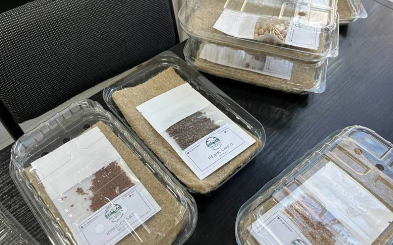 ВОРКШРП ІЗ ВИСАДКИ МІКРОЗЕЛЕНІ