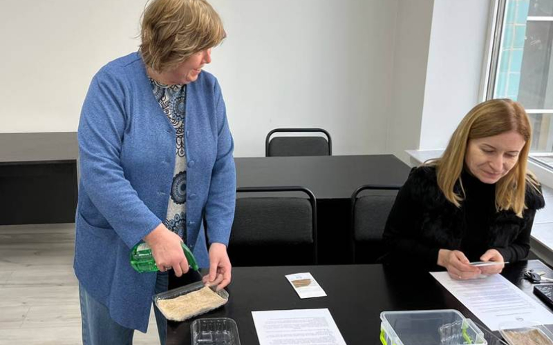 ВОРКШРП ІЗ ВИСАДКИ МІКРОЗЕЛЕНІ