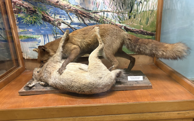 лекційне заняття з дисципліни "Біологія, біоіндикація та біотестування" 