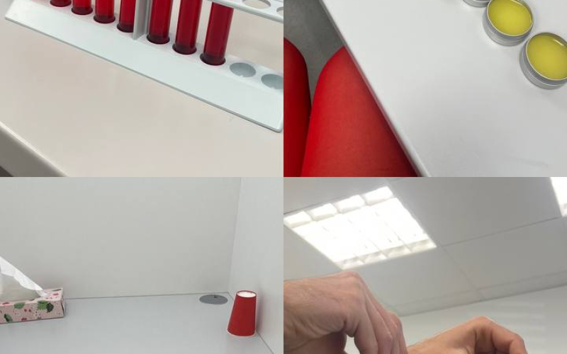 Студентка кафедри філології та перекладу взяла участь у міжнародній програмі в Німеччині