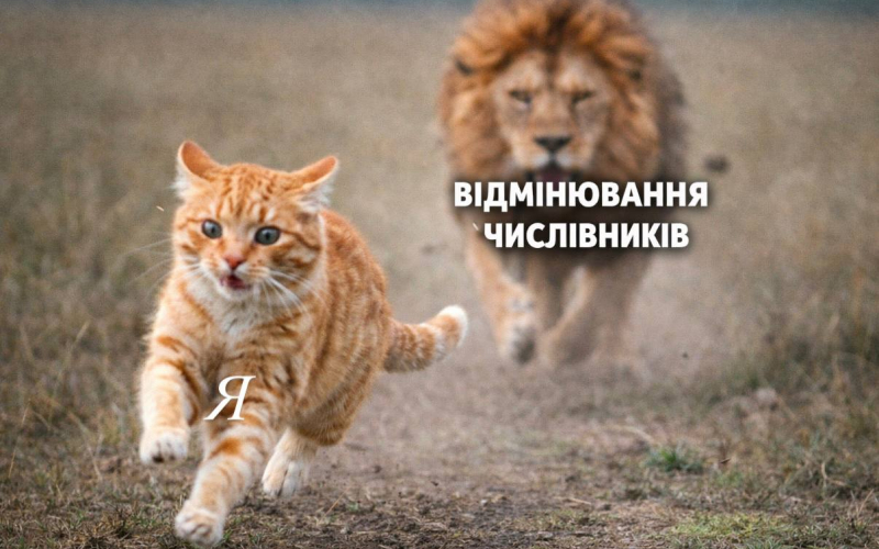 Українська в тренді!