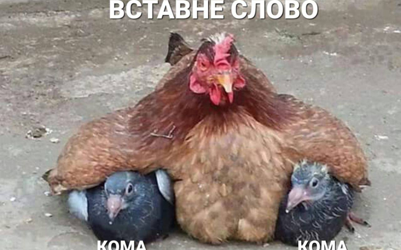 Українська в тренді!