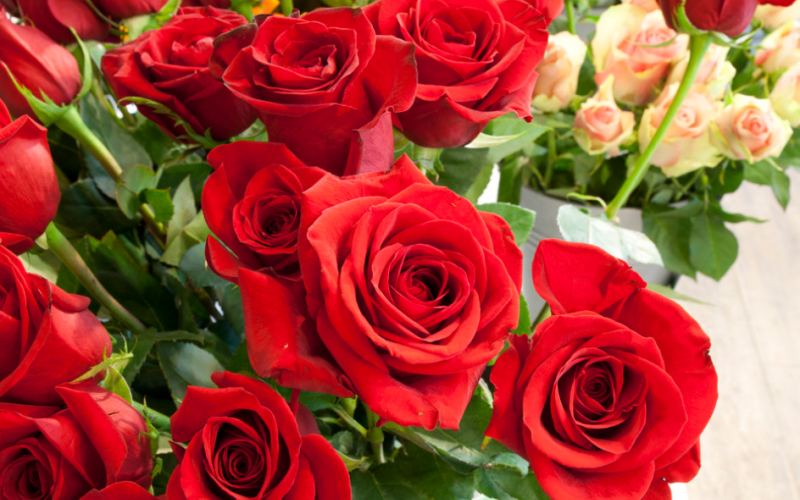 Вітаємо з успішним захистом докторської дисертації!