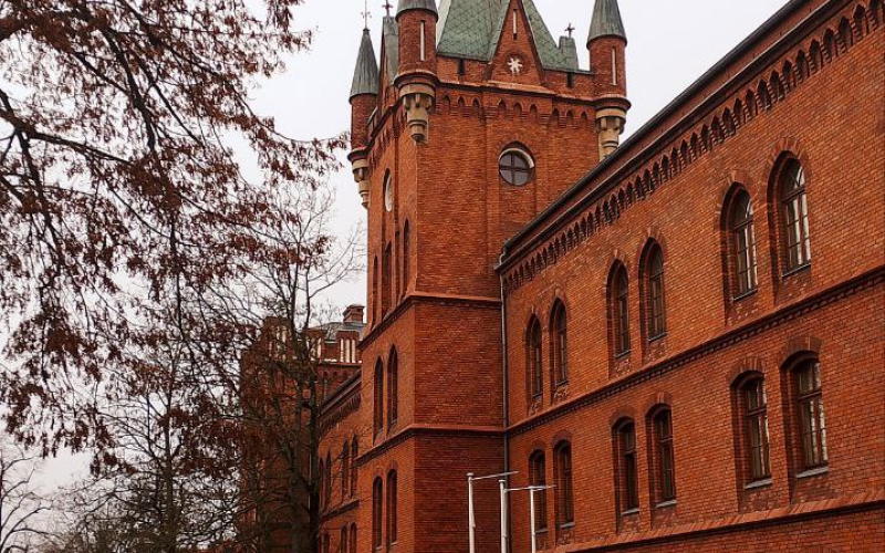 Студентки кафедри філології та перекладу взяли участь у програмі семестрового нав