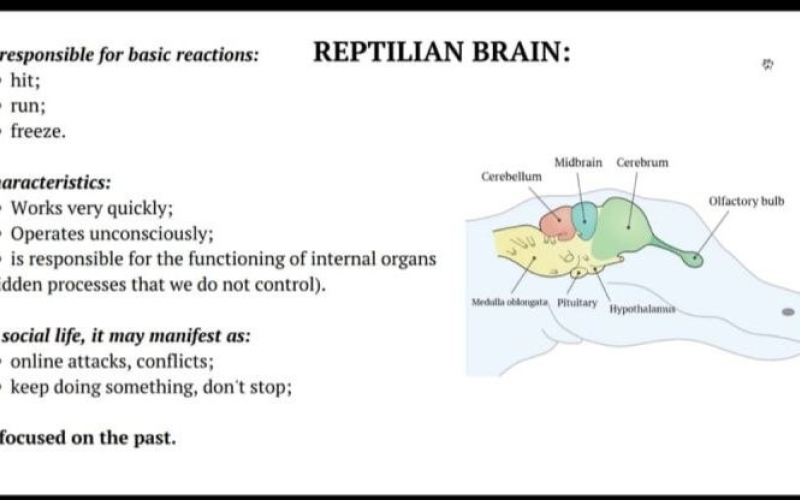 Міжнародне академічне співробітництво в дії: поєднання теорії, практики та професійних навичок