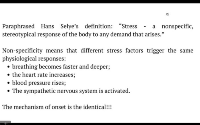 Міжнародне академічне співробітництво в дії: поєднання теорії, практики та професійних навичок