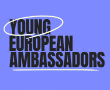 На шляху до Євроінтеграції: онлайн зустріч з Young European Ambassadors