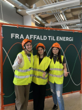 За енергоефективним досвідом - до Данії