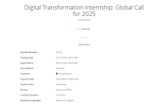 United Nations Development Programme (UNDP) Digital Transformation Internship 2025